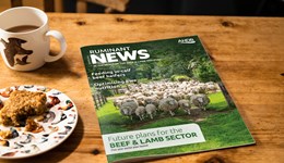 Ruminant News - November 2022 edition